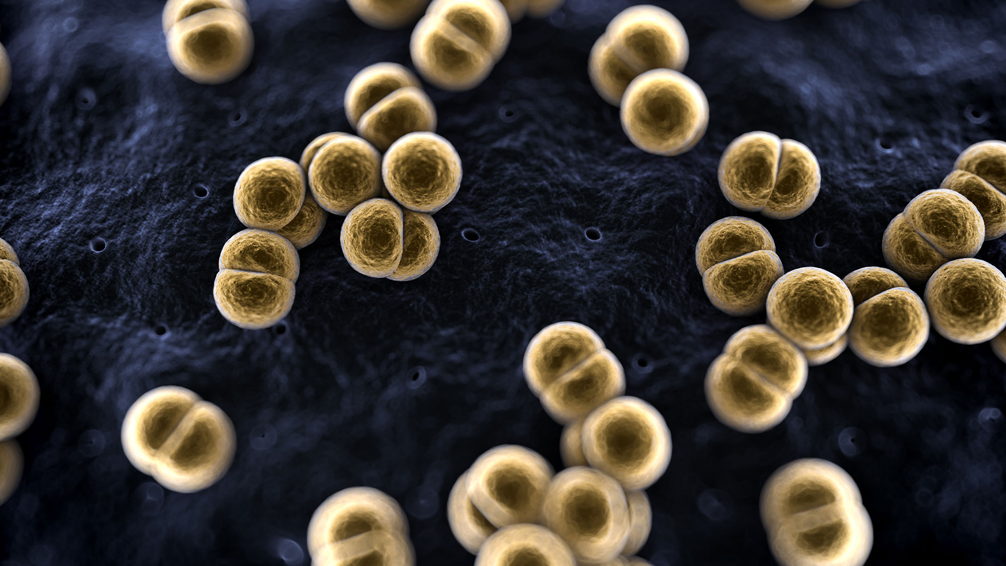 Mikrobiologija in parazitologija