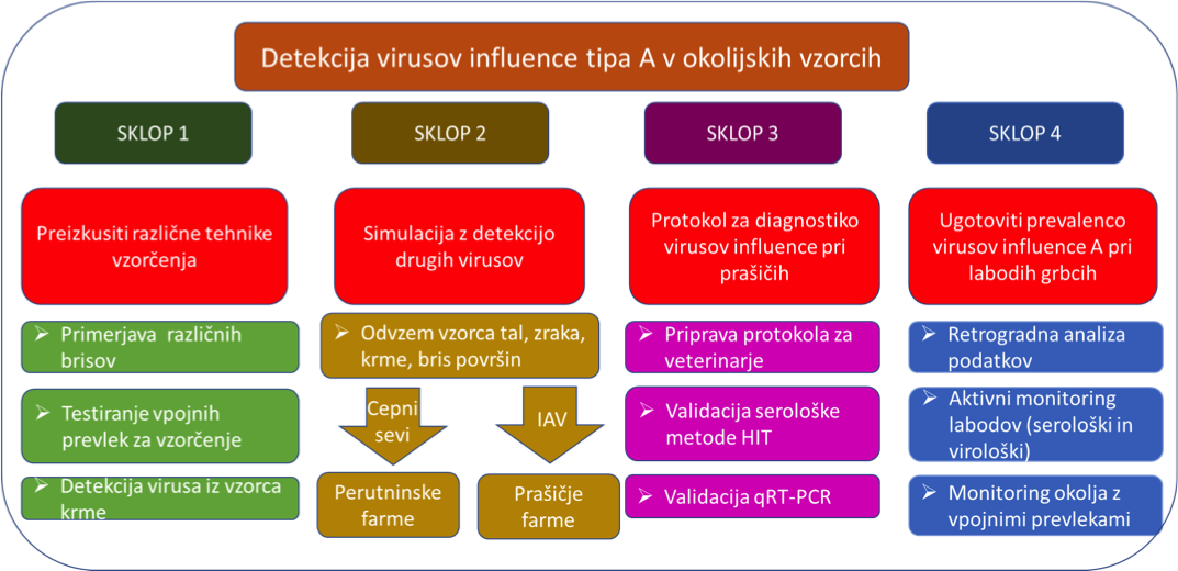 CRP_1