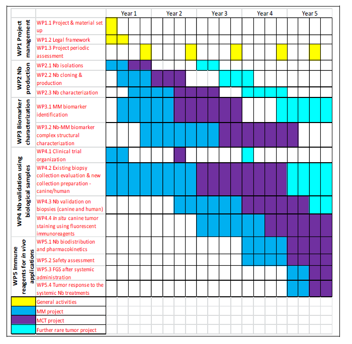 Project phases