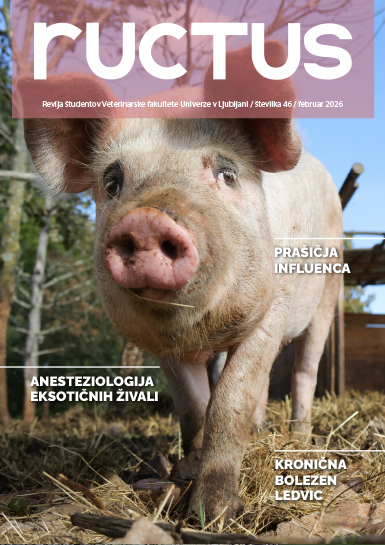 RUCTUS januar 2026