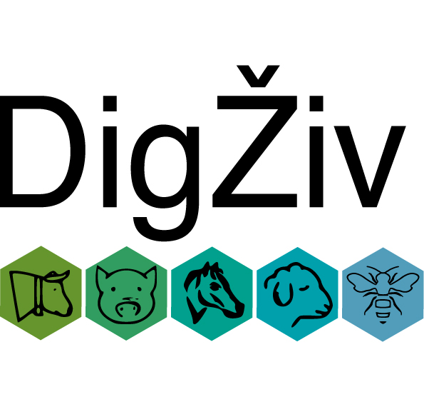 Logo DigŽiv
