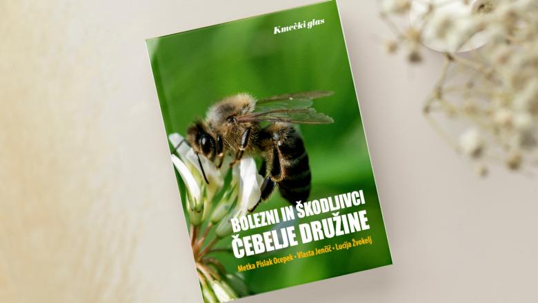 Bolezni in škodljivci čebelje družine