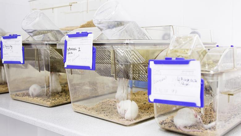 Tečaj za usposabljanje Laboratorijske živali