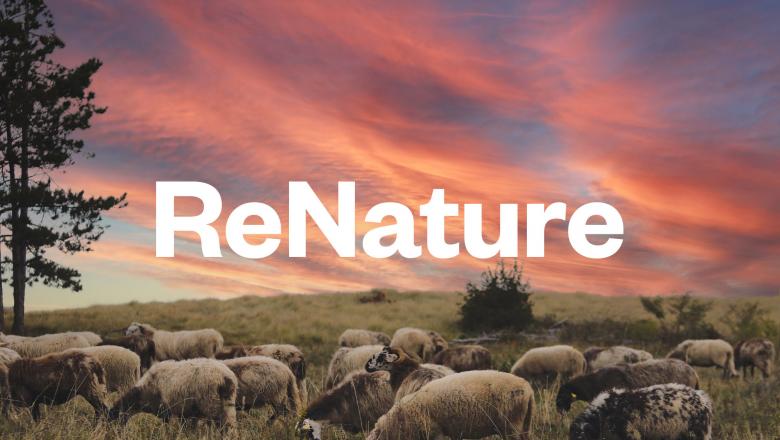 ReNature